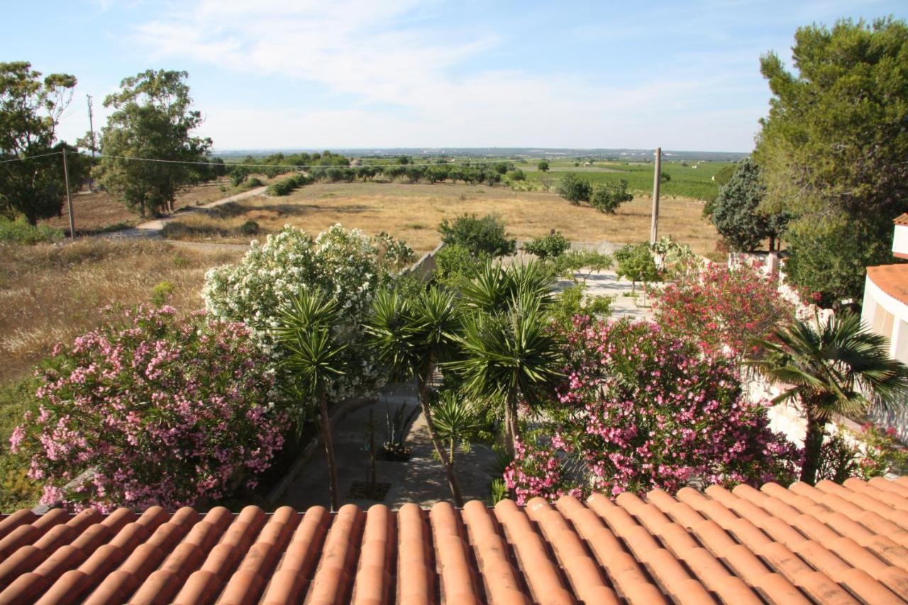 Villa La Casa Di Dario Monacizzo Habitación foto